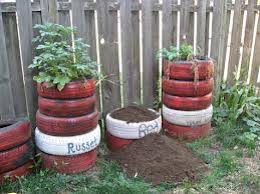 Once you've got your pots ready for growing, head over to the how to grow potatoes in containers page for more information on the technical side of things, and have a look at the vast range of seed potatoes available to grow. The Idiots Guide How To Grow Potatoes Potato Growing In Tires Tyres In The Ground In The Bedroom Growing Vegetables Growing Potatoes Potato Planters