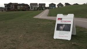 Discover the rich history of first nations culture in and around calgary. Calgary News Local Breaking Ctv News Calgary