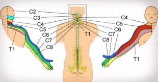почему немеют конечности рук и ног во время сна Pochemu Nemeyut Ruki