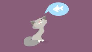 koshka ne est v chem prichina i chto delat pitomcy mail ru