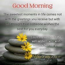 Good morning it s saturday may your day be filled with good thoughts kind people and happy kelly s treehouse moments 3 meme on conservative memes from pics.conservativememes.com. Kellys Treehouse Good Morning Https Www Facebook Com Kellyrtreehouse Photos A 1905796699701845 2318360148445496 Type 3 T Happy Good Morning Quotes Good Evening Greetings Morning Greeting Do Not Worry About Tomorrow