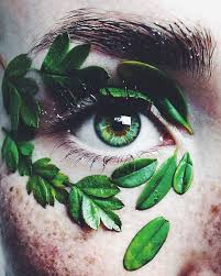 Green Eye Of The Artist Photography Eye Art Aesthetic Eyes Eye Photography