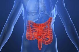 ما أسباب مرض كرون وما مدى خطورته In 2021 Crohns Colitis Holistic Center