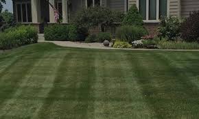 Mowing the grass is the first step towards lawn care, and it needs to be done regularly. How Much Is Lawn Care Service Near Me