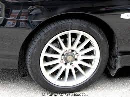 Image result for Wild Rose 1999 Tiburon