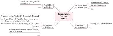Auch in zum deutschlernen findest du arbeitsblätter. Https Static Bildung Rp De Pl Materialien Bio Hr Tf3 Pdf