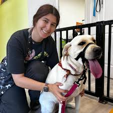 Sydnee's Pet Grooming Davis (@sydneesdavis) • Instagram photos and videos