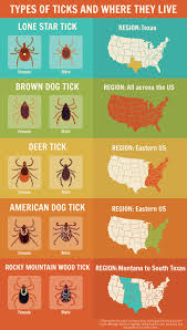 Precautions To Avoid Tick Bites Fix Com