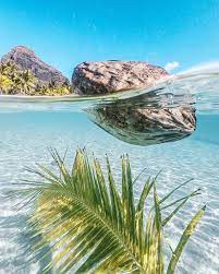 Tropical Water Makes Me Happy Credit Vitamin Sea Ltd Mauritius Tropical Island Beach Tropical Beach Houses Beautiful Beaches