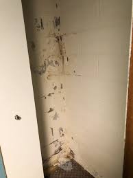 Paint is an easy way to make the basement feel warmer, brighter, and more welcoming. Basement Closet Shelving Idea How To Hang Shelves To Cinderblock Walls The Diy Nuts