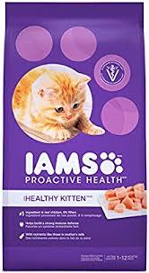 Amazon Com Iams Proactive Health Kitten Dry Cat Food 7 Pounds Pet Supplies Dry Cat Food Kitten Food Iams Dog Food