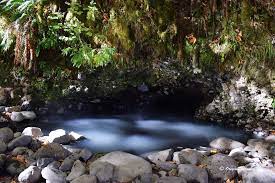 We did not find results for: Deer Creek Hot Springs Aka Bigelow Cascade Mountains Oregon Discovery