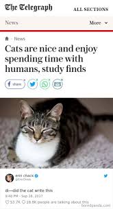 We found it too hard to fight back because these cats… are too adorable. Cat Tweets In 2020 Best Cat Memes Funny Cats Cats