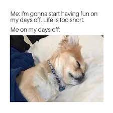 It S My Hobby Meme W0rld Funny Animals Cute Animal Memes Funny Animal Memes