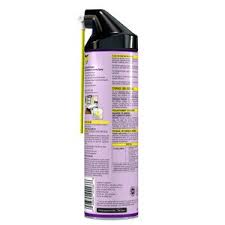 Raid Max Bed Bug Crack And Crevice Extended Protection Foaming Spray 17 5 Oz Cvs Pharmacy