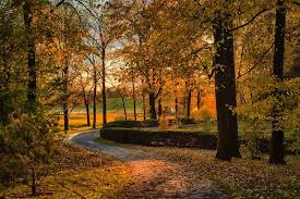 Skip to main page content | skip to secondary navigation | skip to summary access keys list. Guesthouse In As Aas Close To The University Nmbu 25 Minutes Drive To Oslo Updated 2021 Tripadvisor As Vacation Rental