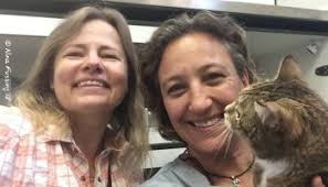 We're Going To NYC (And The Cat Made Us Do It)!