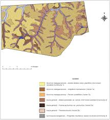 Image result for Fuirena pachyrrhiza