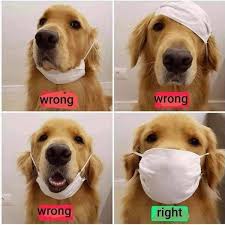 Make covid 19 memes or upload your own images to make custom the fastest meme generator on the planet. Coronavirus Memes Best Reactions To Melbourne Lockdown Returning Herald Sun
