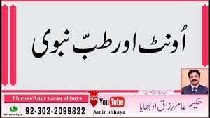 People who have diabetes and high cholesterol can use camel meat as it is very beneficial for them.the cholesterol level in camel meat is even low than in beef. Camel Milk Meat And Urine Benefits For Good Health Youtube