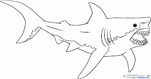 A special type of lcd display screen that uses supertwist technology to produce a high contrast between the foreground and background. Great White Shark Coloring Page Lovely Realistic Shark Coloring Pages At Getcolorings In 2021 Shark Coloring Pages Captain America Coloring Pages Coloring Pages