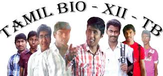 தமிழ் (tamil) বংলা (bengali) ગુજરાતી (gujarati) हिन्दी (hindi) ಕನ್ನಡ (kannada) മലയാളō0 (malayalam) ଓଡ଼ିଆ (oriya) ਗੁਰਮੁਖੀ (punjabi) संस्कृतम् (sanskrit) தமிழ் (tamil). Tamil Bio Xii Tb Home Facebook