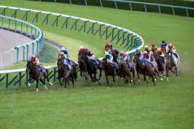 The site owner hides the web page description. ç¬¬57å›ž å®å¡šè¨˜å¿µ ã‚³ãƒ¼ã‚¹è§£èª¬ G ç‰¹é›† ç«¶é¦¬æƒ…å ±ãªã‚‰jra Van