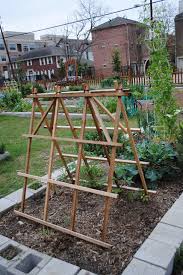 Lucy S In The Garden Houston S Allotment Garden Midtown Community Garden Allotment Gardening Community Gardening Garden Layout