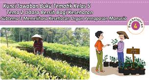 We did not find results for: Kunci Jawaban Buku Tema 2 Kelas 5 Subtema 3 Pembelajaran 4 Contoh Rpp Sd Dan Soal Sd