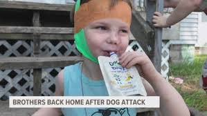 Muskegon brothers return home after June dog attack