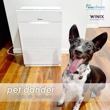 Usually there is three wires, two provide 120v ac power and the. Winix Australia Zero Air Purifiers Page 1