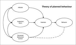 theory of planned behavior definition explained examples