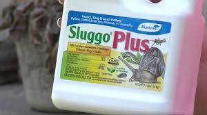 Insect, slug & snail pellets. Product Hot Spot Sluggo Plus Youtube
