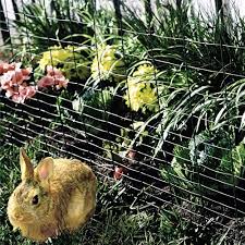 Raised beds can be filled with the ideal soil that your plants will love. How To Keep Rabbits Out Of Garden 5 Best Rabbit Repellents