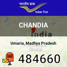 We turn first to chandia's argument that 18 u.s.c. Chandia Pin Code Post Office In Bandhogarh Umaria Madhya Pradesh