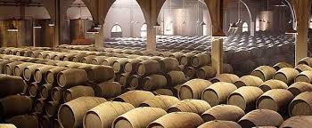 ￼brazilian jiu jits black belt, surf, golf. Bodegas Real Tesoro Y Valdespino Web Oficial De Turismo De Andalucia