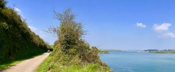 African elephants are the largest living land animals and, with an average lifespan of 70 years, one of the oldest. Enjoy A Day Out On The Camel Trail Mother Ivey S Bay Holiday Park