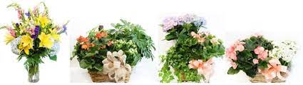 Maybe you would like to learn more about one of these? The 8 Best Options For Flower Delivery In Montgomery Alabama 2021