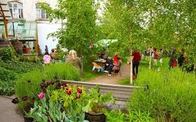 Dalston Eastern Curve Community Garden Community Gardening Hidden Garden Garden Projects