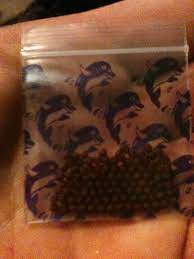 LSD Porn.....Microdots :D : r/LSD