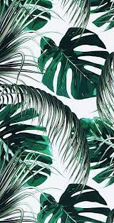 Find christabel chua's contact information, age, background check, white pages, criminal records, photos, relatives, social networks & resume. Pin By Valeriafajardo On Instagram Background Leaves Wallpaper Iphone Iphone Wallpaper Vintage Iphone Background Wallpaper