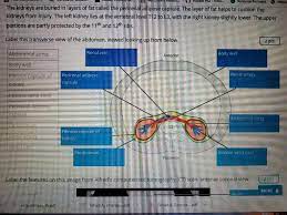 Angina pain also causes a feeling of pressure or squeezing in your chest. Solved Rocket Hq Intro Reliance Partners Https The K Chegg Com