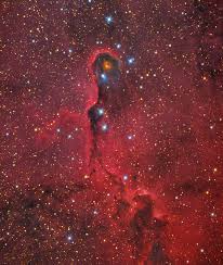 Image result for Searsia nebulosa