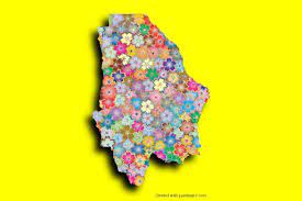 Chihuahua Marko De Foto Coloque Sus Propias Imagenes En El Mapa De Chihuahua Y Aplique El Efecto De Sombra Mapa De Chihuahua Chihuahua Mapa Chihuahua