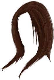 Women Hair Hair Png Womens Hairstyles Download Hair