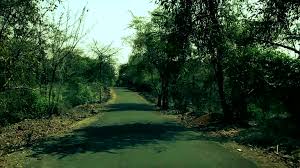 60+ Borivali National Park Stock Videos ...