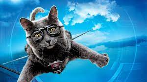 1920x1080 Widescreen Wallpaper Cats And Dogs The Revenge Of Kitty Galore Dog Cat Cat Vs Dog Cats