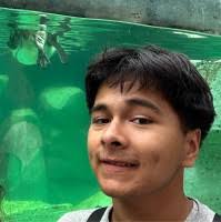 7400+ "Calles" profiles