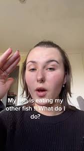 Fish Eating His Friends