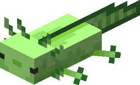 It is a water bucket that has been filled with axolotl that are still alive. Axolotl Official Minecraft Wiki